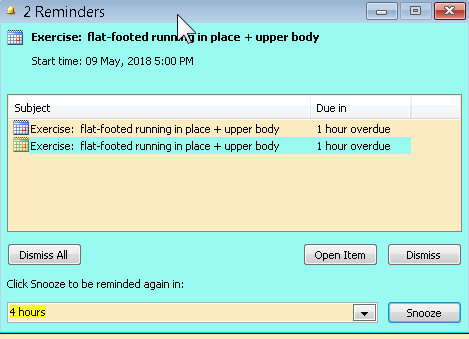 Outlook 2010_all Reminder popups list each activity twice.png
